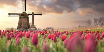 UnitedHealthcare Global launches expat insurance in the Netherlands