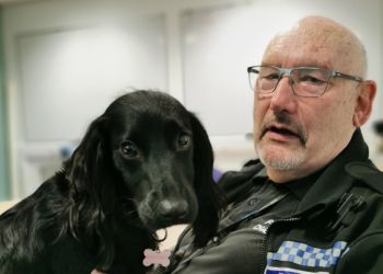 National Police Wellbeing Service engages trauma support dogs