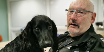 National Police Wellbeing Service engages trauma support dogs
