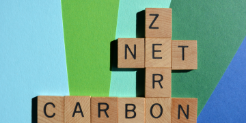 Carbon audits, adviser support, digital activity and reducing emissions are key focus as insurers prepare for net zero future – analysis