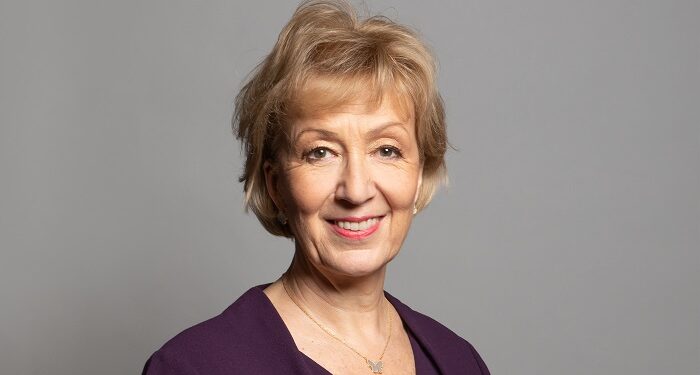 Andrea Leadsom gets role in health and Jo Churchill steps in to DWP