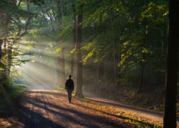 More than a million fewer people gained from nature’s health benefits in 2022