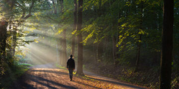 More than a million fewer people gained from nature’s health benefits in 2022