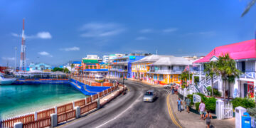 Cayman First appoints CEO