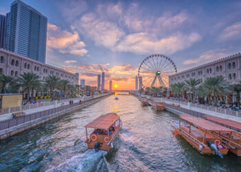 UAE to mandate health insurance for all private sector workers by 2025