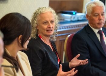 Individual Protection House of Lords Roundtable: Making the most of a shrinking field