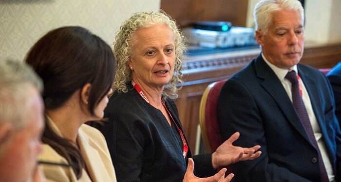 Individual Protection House of Lords Roundtable: Making the most of a shrinking field