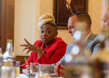 Individual Protection House of Lords Roundtable: Making the most of a shrinking field