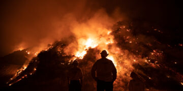 From Zimbabwe to California: How climate change is reshaping global health insurance – analysis
