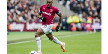 credit: Silvi Photo /Shutterstock.com