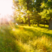 Copyright: Shutterstock